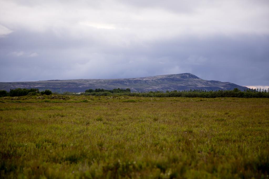Affittacamere South Selfoss