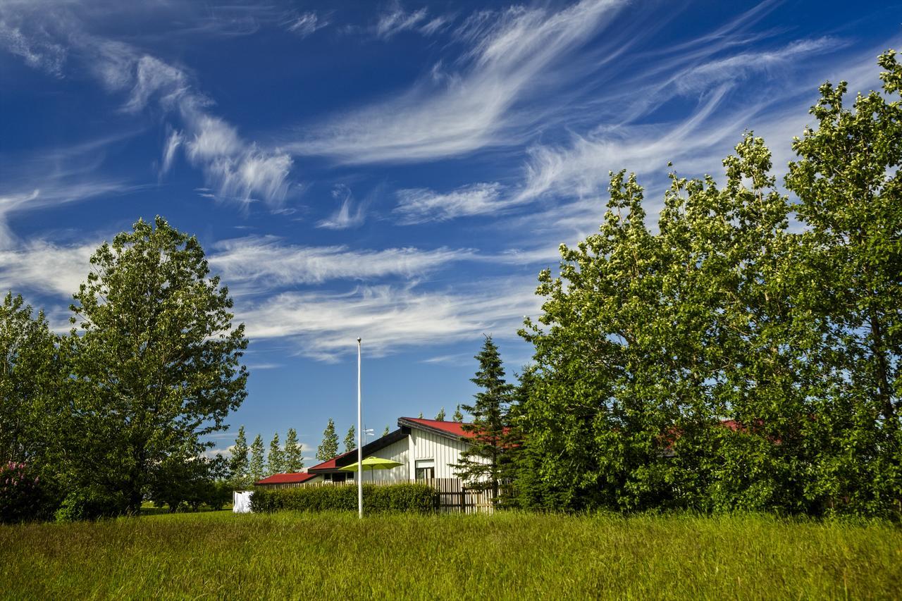 Affittacamere South Selfoss